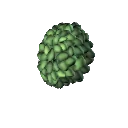 Biotic Brambles item icon