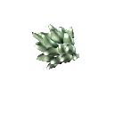 Biotic Bushel item icon