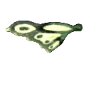 Biotic Aerofoil item icon