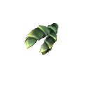 Biotic Clutch item icon