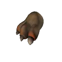 Thermic Clawtoe item icon