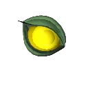 Biotic Xenoeye item icon