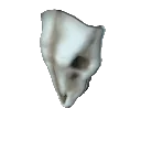 Ethereal Skull item icon