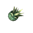 Biotic Spines item icon